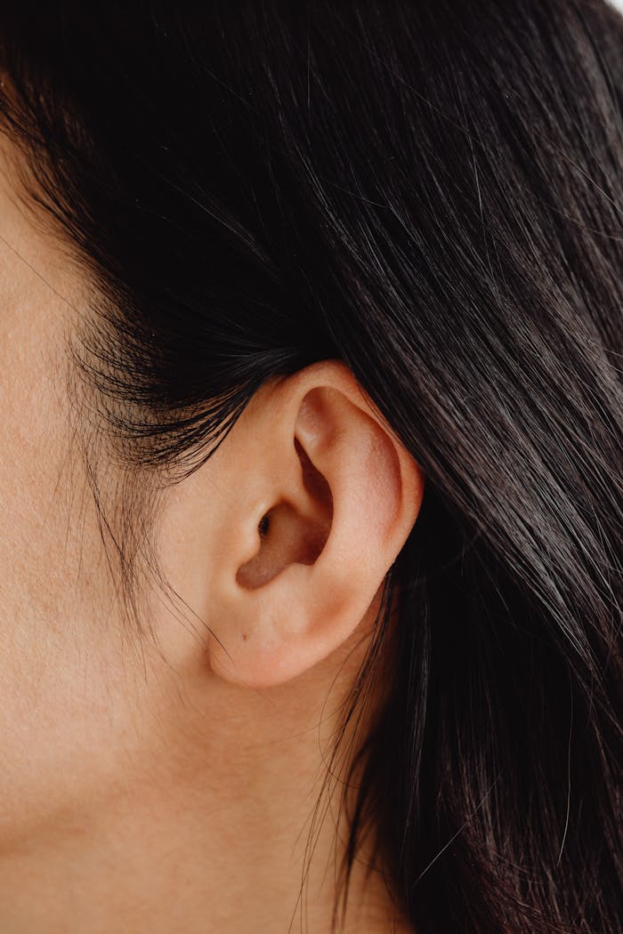 Detailed close-up image showcasing a human ear and dark hair.